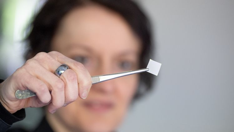 Manuela Schiek hält mit einer Pinzette ein beschichtetes Glasplättchen.Glas