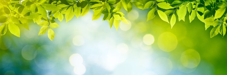 Counselling and Coaching for Employees