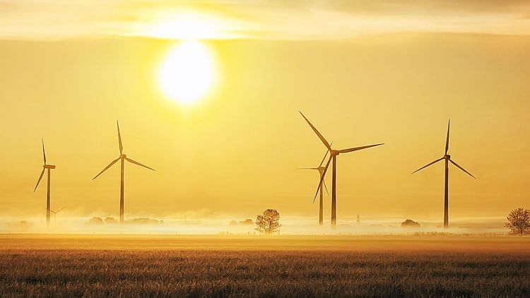 A field with several wind turbines, ground fog and sunset.  