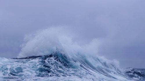 A wave with a head of foam up close.