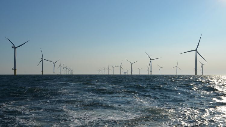 Zahlreiche Windturbinen in einem Offshore-Windpark in der Nordsee.