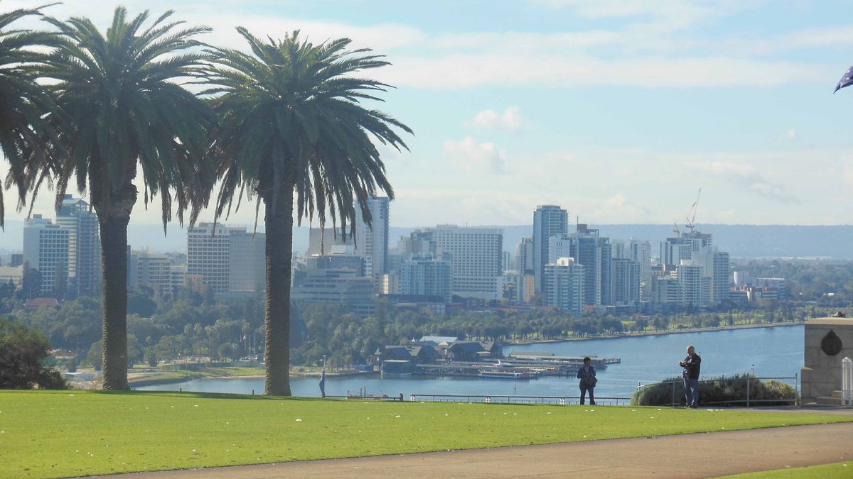 Die Skyline von Perth, Australien, mit Palmen im Vordergrund und modernen Gebäuden am Wasser.
