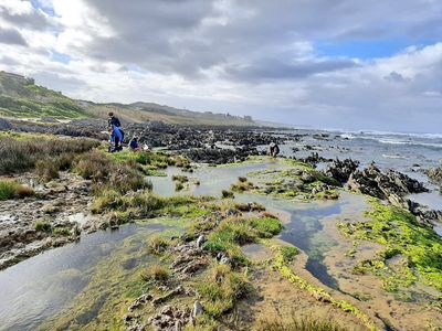 Eine Küstenlandschaft in Südafrika mit Felsen, Wasserbecken und Vegetation. Menschen sind bei Forschungsarbeiten zu sehen.