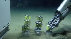 he remotely operated vehicle MARUM QUEST collects biological samples, rock and ore samples,