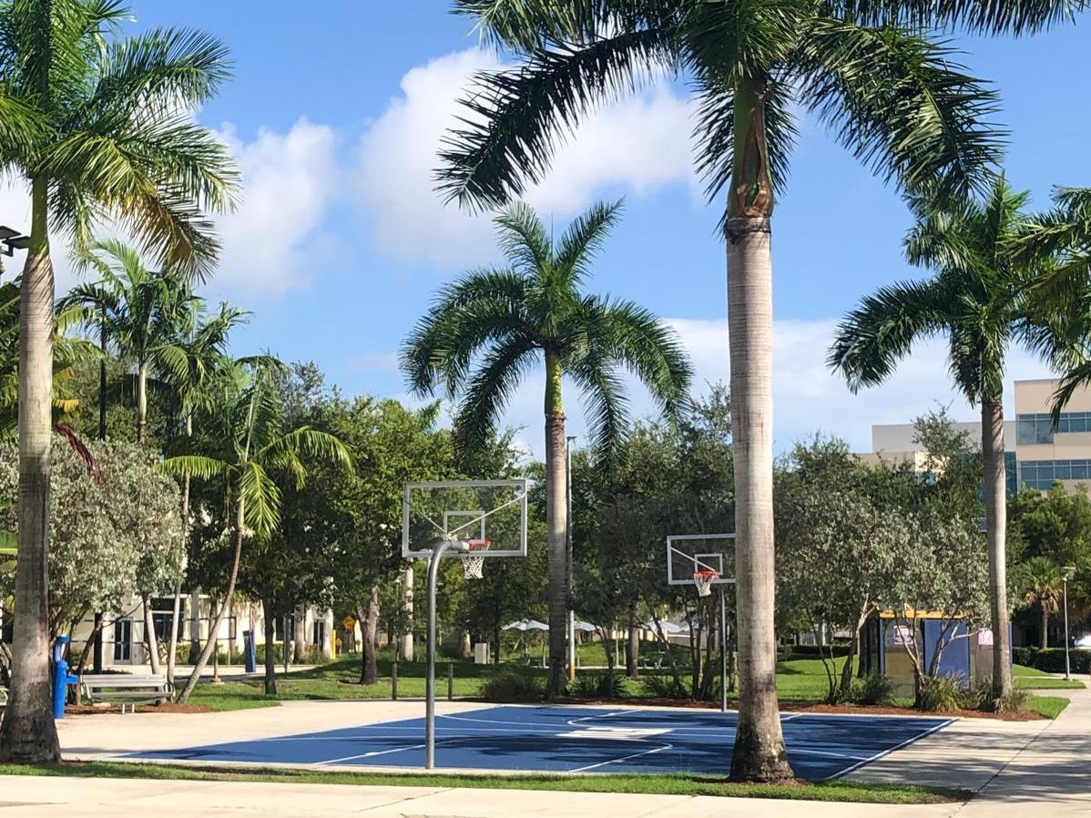 Basketballplatz im Freien, umgeben von Palmen und blauem Himmel.