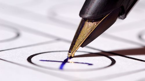 vote, leaf, Bundestag election 2017, democracy, Germany, decision, decision, filler, fountain pen, co-determination, closeup, nature, paper, plant, pencil, ballot, symbol, symbolic image, referendum, election, electoral law, ballot, ballot paper, voting, closeup, communication, politics, political, political, political, smocratic, vote