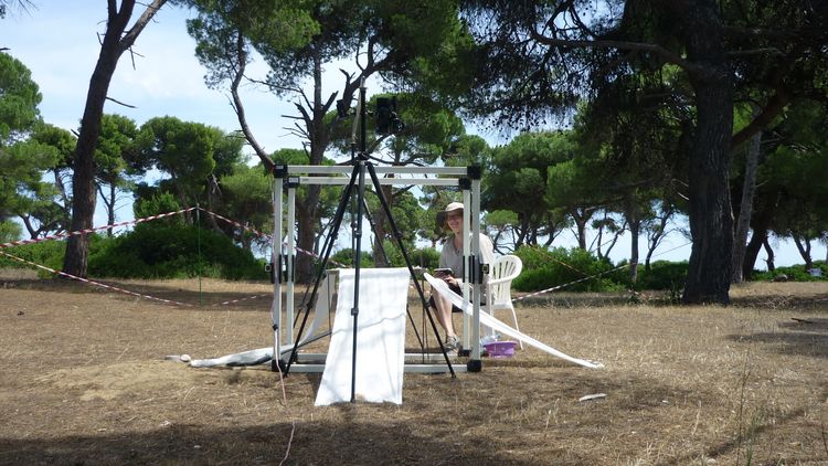 The researcher is sitting outdoors in a sparse pine forest behind an experimental set-up consisting of a metal frame, a camera and several cloths. 