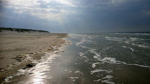 View of a beach against the light