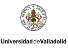 Logo der University of Valladolid