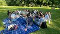 The picture shows a group of people sitting on the grass in a park and having a picnic. Bushes can be seen in the background and the sun is shining.