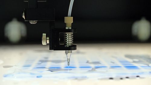 Close-up of the described scene.