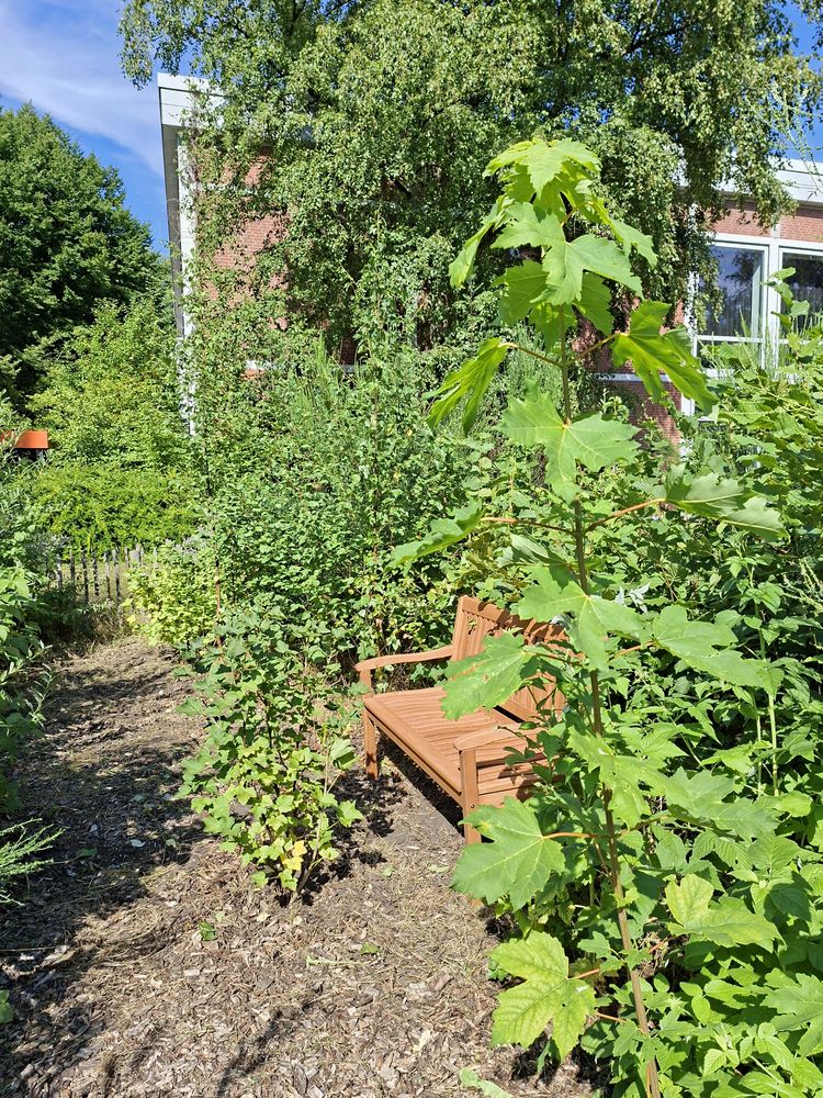 Foto einer Gartenbank an einem kleinen Pfad im Grünen. Im Hintergrund sieht man ein Uni-Gebäude.