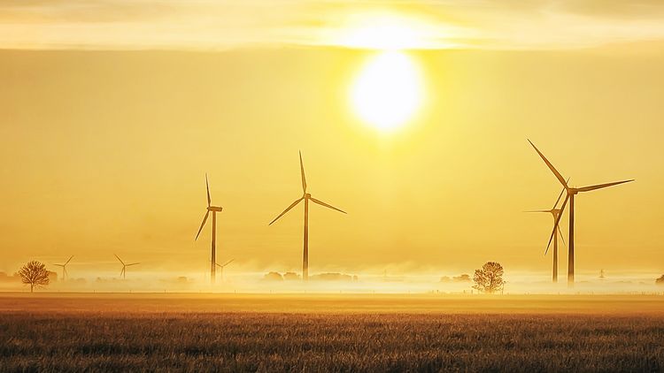 Several wind turbines against the light at sunset. 