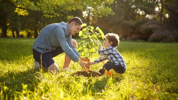 Das Bild zeigt einen jungen Vater, der mit seinem kleinen Sohn ein Bäumchen pflanzt. Sie tun dies auf einer Wiese, im Hintergrund stehen weitere Bäume. Die Sonne scheint.