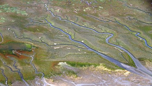 An aerial image shows the branching tidal creeks and differently colored salt marshes.