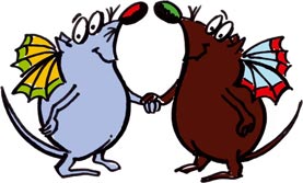 Kuni mit schwarzem Kuni