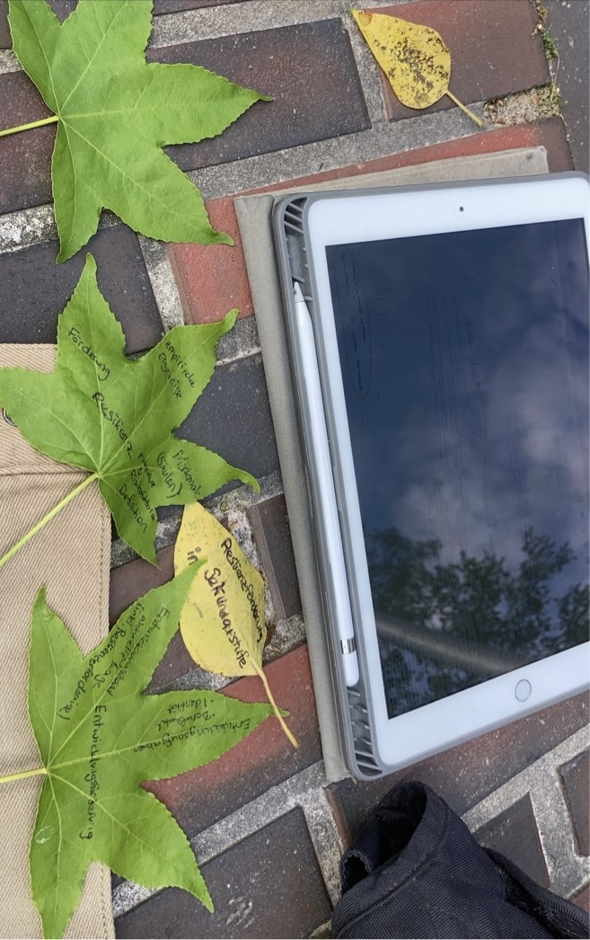 Der Weg zur Gliederung — Wibke Götze — Das Foto zeigt, wie ich meine Masterarbeit zum Thema ’Resilienzförderung in der Sekundarstufe‘ aufgebaut habe. Auf dem iPad ist meine selbst erstellte Mindmap mit gesammelten Informationen zu erkennen. Mit Hilfe von Blättern habe ich in der Natur dann Oberkategorien mit Unterpunkten gebildet, die ich dann aneinandergereiht habe. 