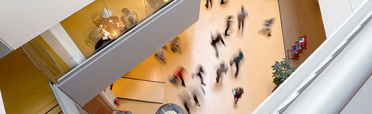 Immatrikulation bzw. Einschreibung