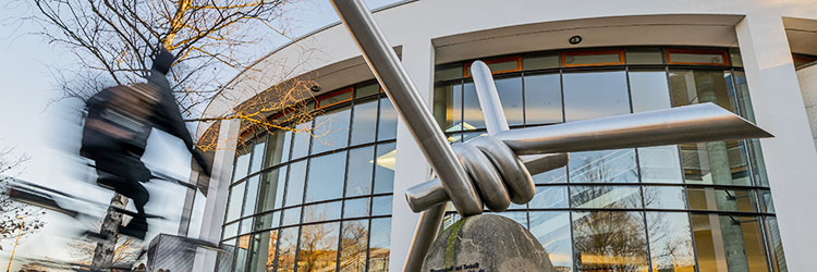 Schnuppertag für Einzelpersonen