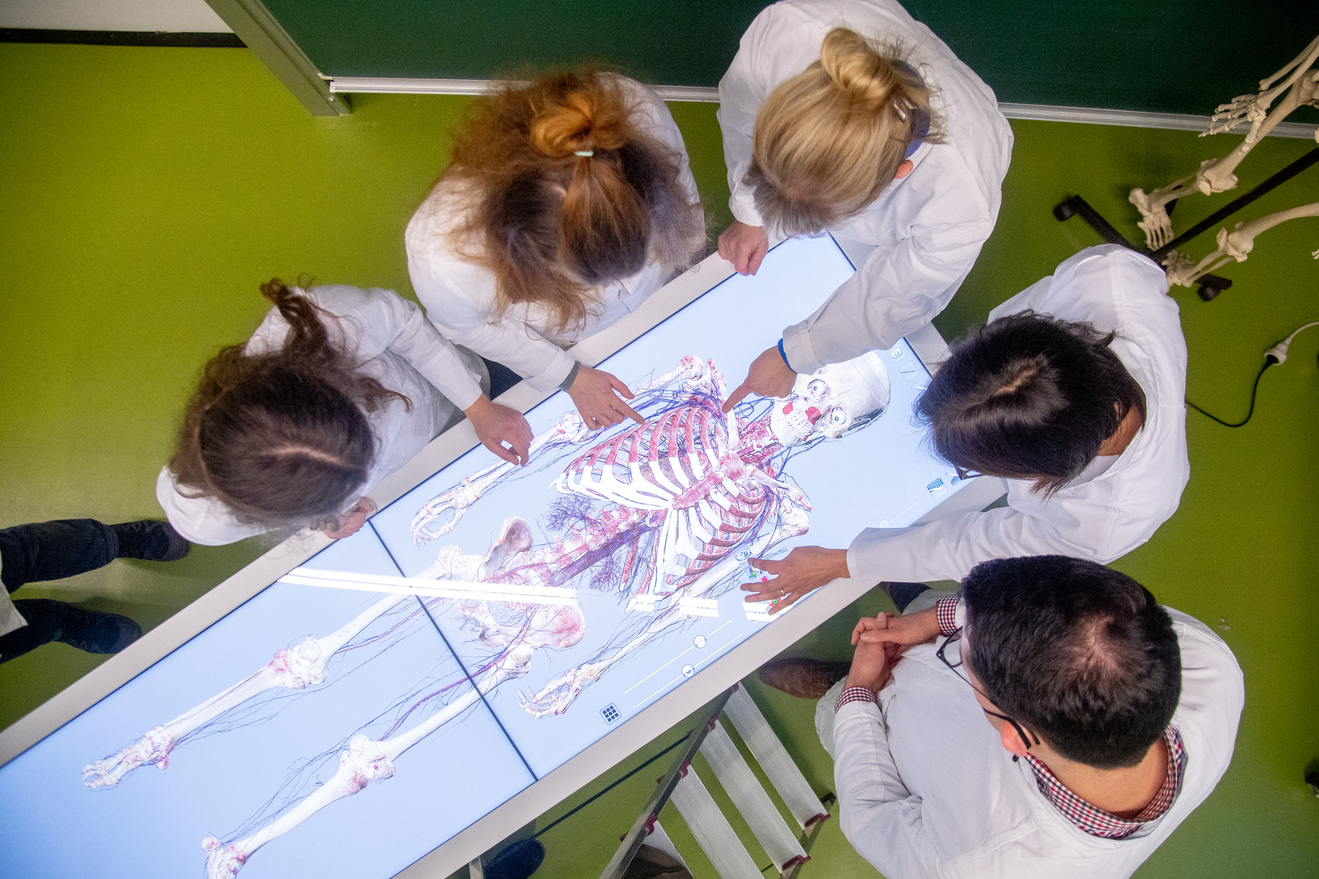 Blick von oben auf vier Studierende, die mit ihrer Lehrkraft am Anatomage stehen, einem Bildschirmtisch, der gerade das Skelett eines Menschen darstellt.