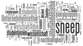 http://www.sneep.info/wordpress/wp-content/uploads/2011/11/sneep-wordle.png