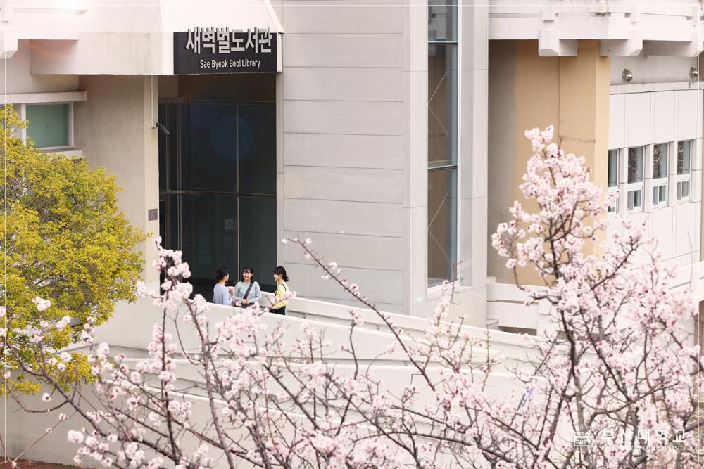 Im Vordergrund Kirschblüten. Im Hintergrund ein Gebäude mit der Aufschrift "Library"