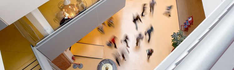 Schnuppertag für Schulklassen